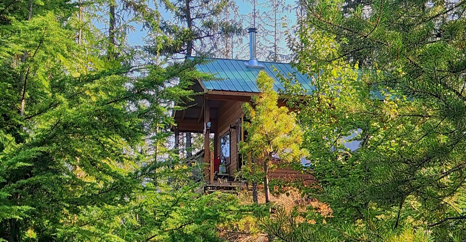 Cabin in the woods