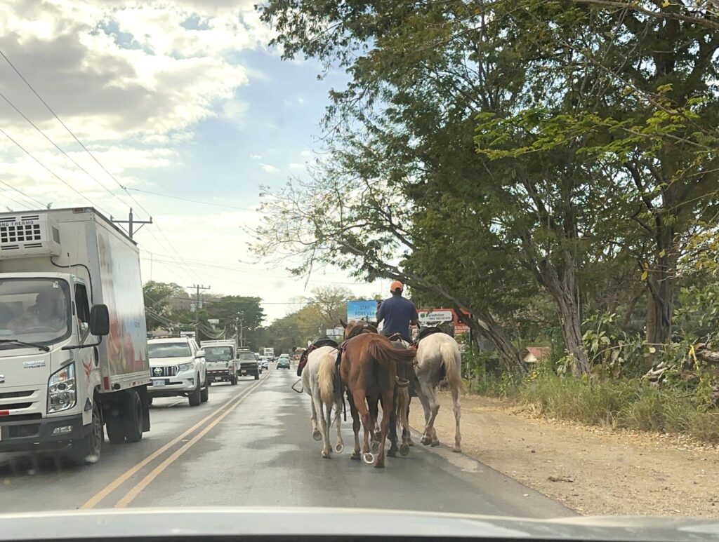 Riding horses on road in Tamarindo, Costa Rica