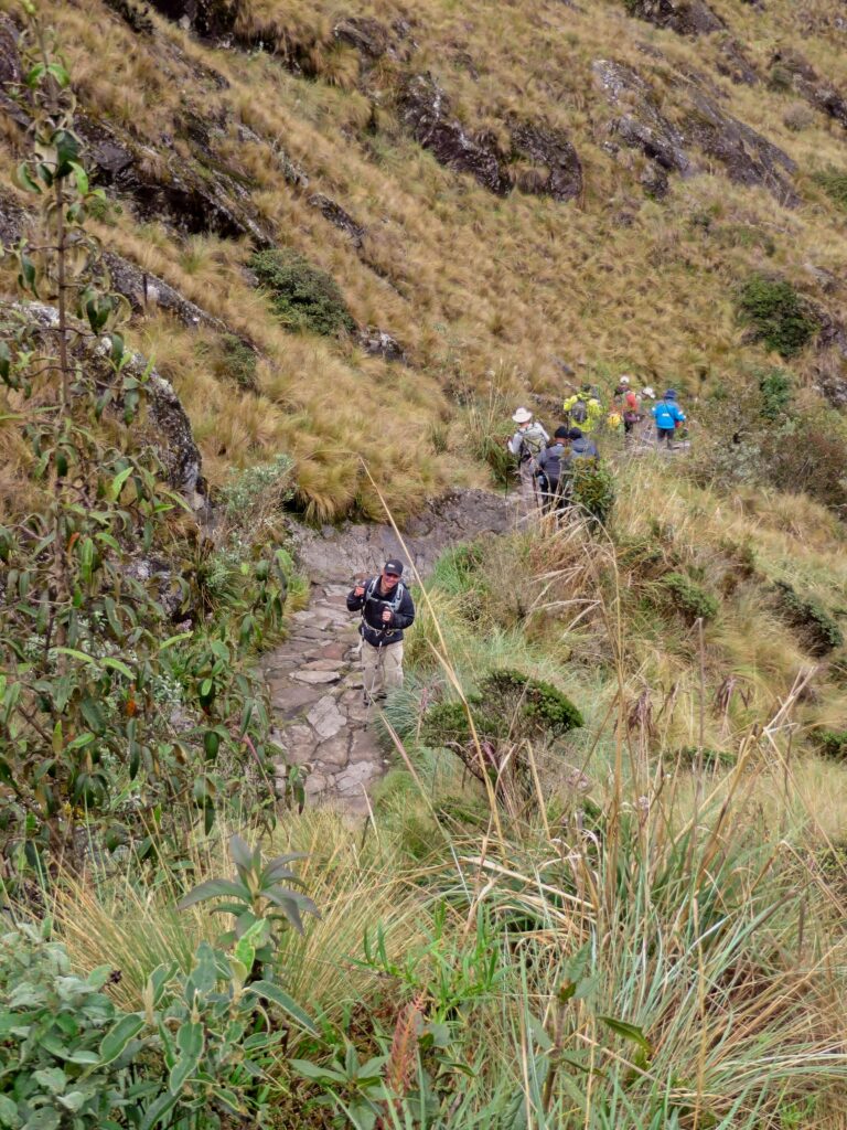Hiking Inca Trail