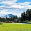 Is Canmore Worth Visiting? Meadow with Mountain