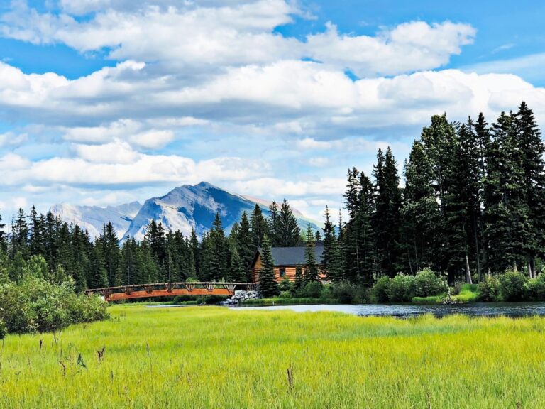 Is Canmore Worth Visiting? Meadow with Mountain