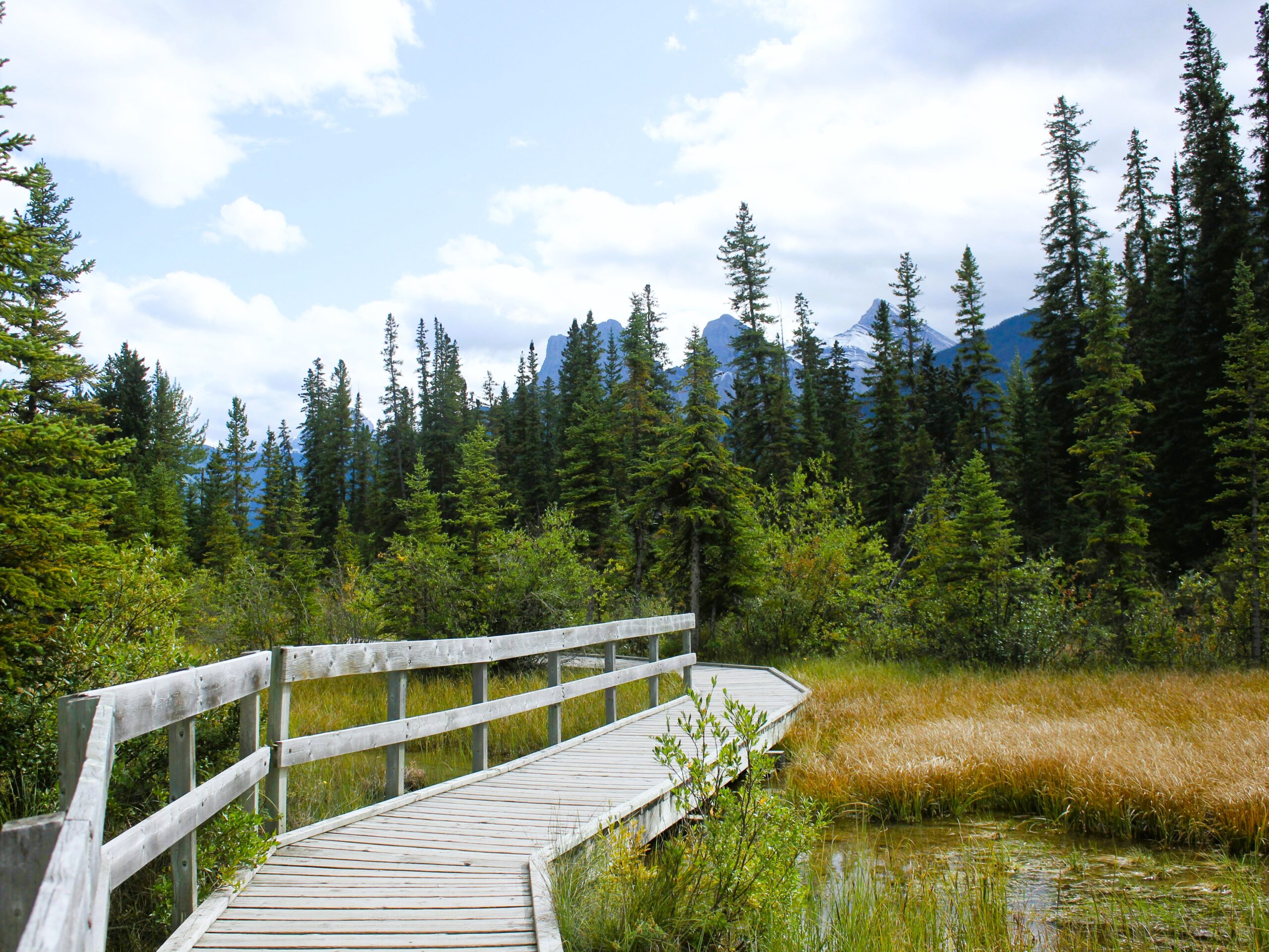 Is Canmore worth visiting? Policeman Creek Trail