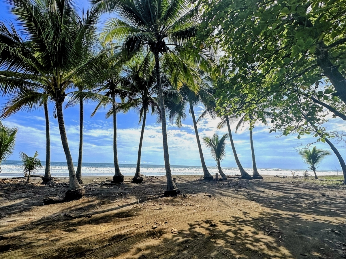 Costa Rica Travel Guide