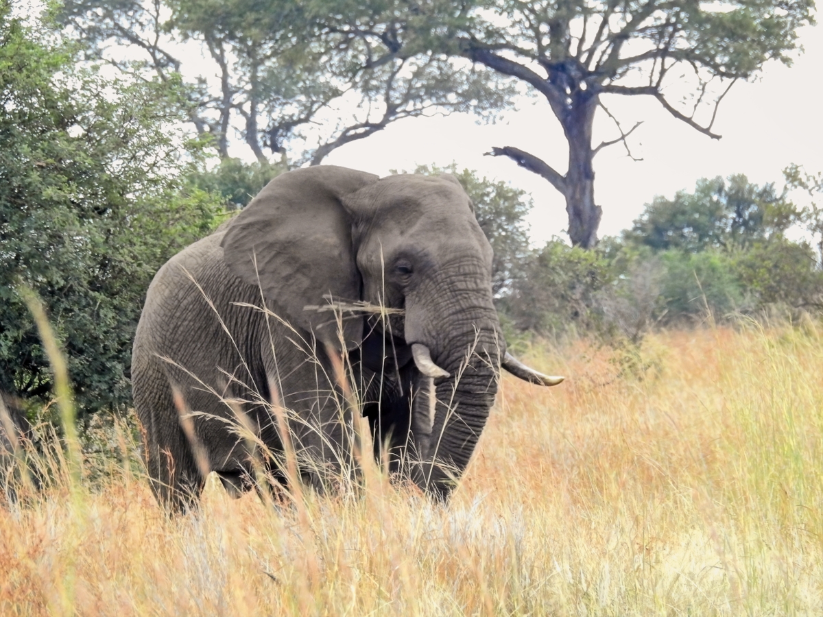 Destination - Visit South Africa
