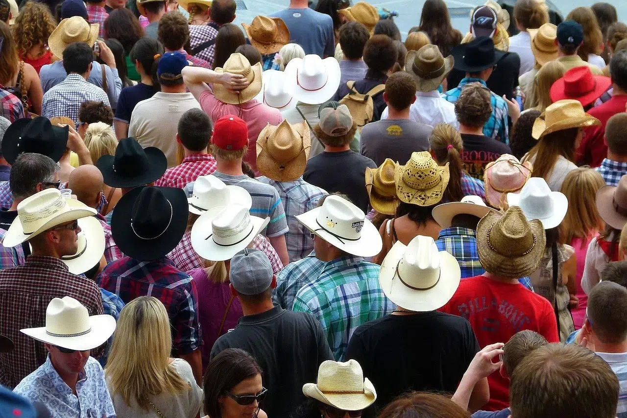 Calgary Stampede Guide