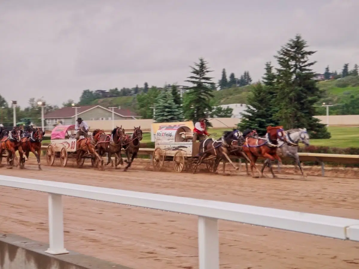 Chuckwagon Races - Calgary Stampede Guide