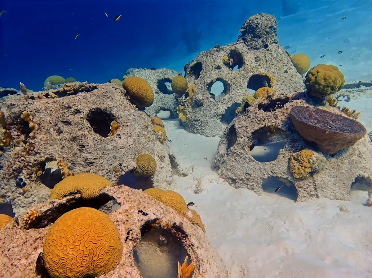 Scuba Diving Curacao