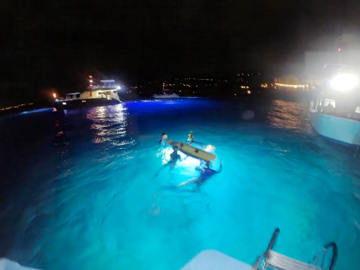 Kona, Big Island Manta Ray Snorkel