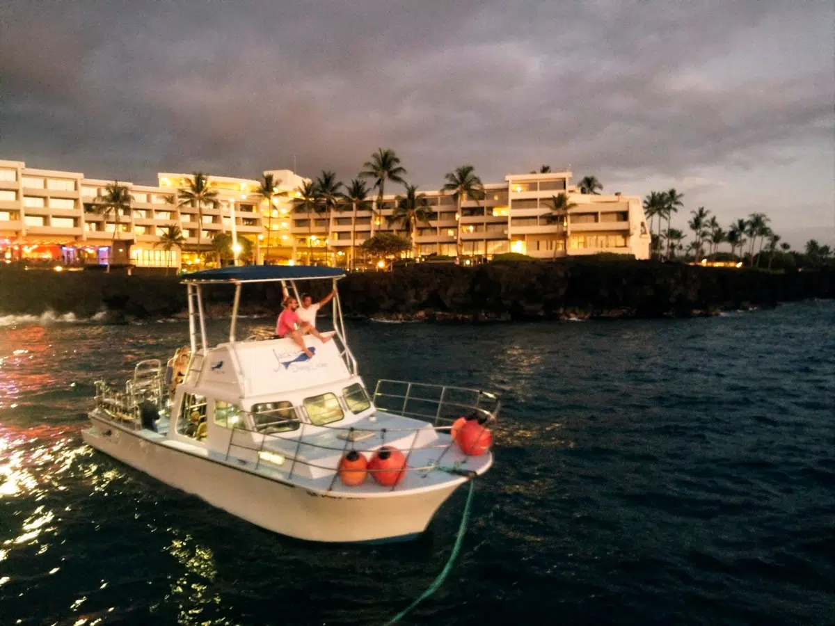 Kona, Big Island Manta Rays