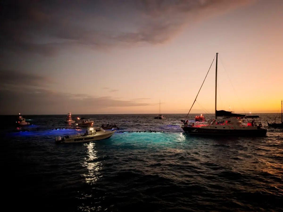 Kona Manta Ray Night Snorkel