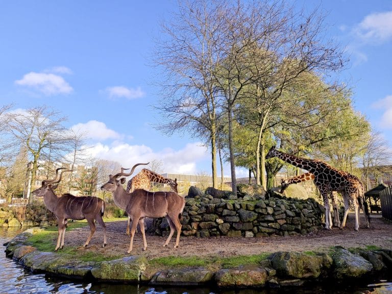 Artis Royal Zoo in Amsterdam