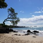 Best Beach on the Big Island for Families