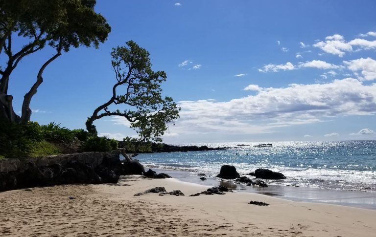 Best Beach on the Big Island for Families