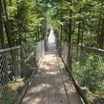Crazy Creek Suspension Bridge