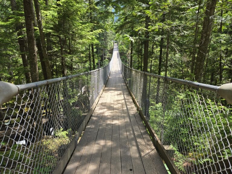 Crazy Creek Suspension Bridge