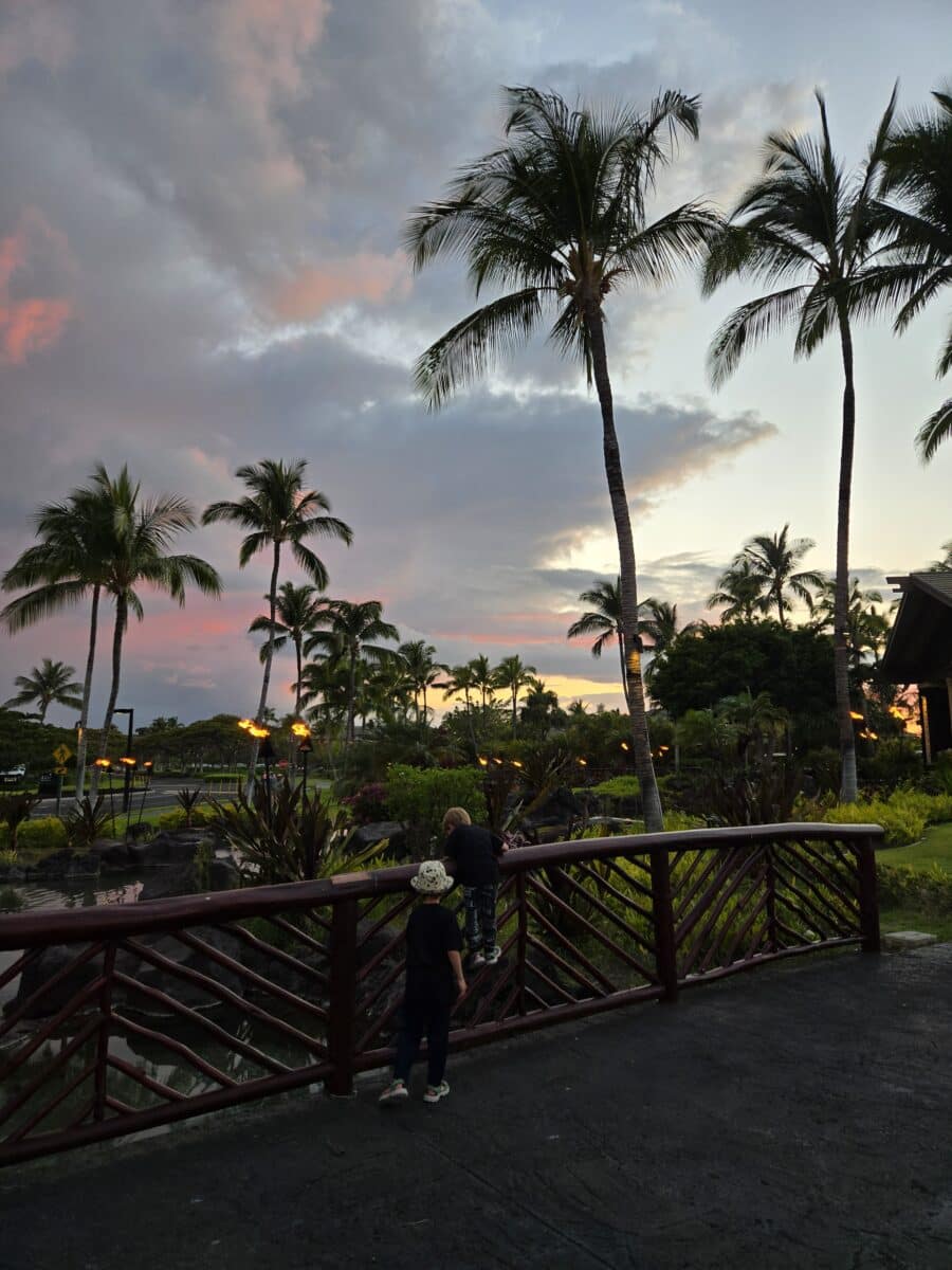 Hilton Grand Vacations Kings' Land